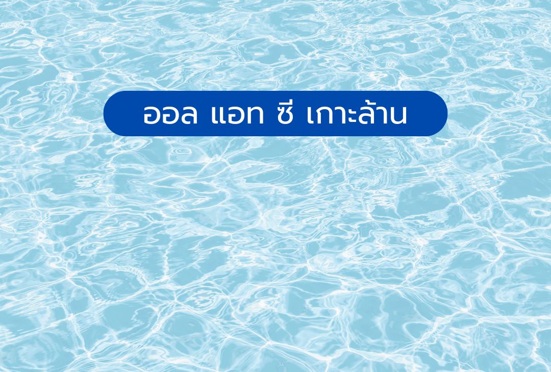 ออล แอท ซี เกาะล้าน
