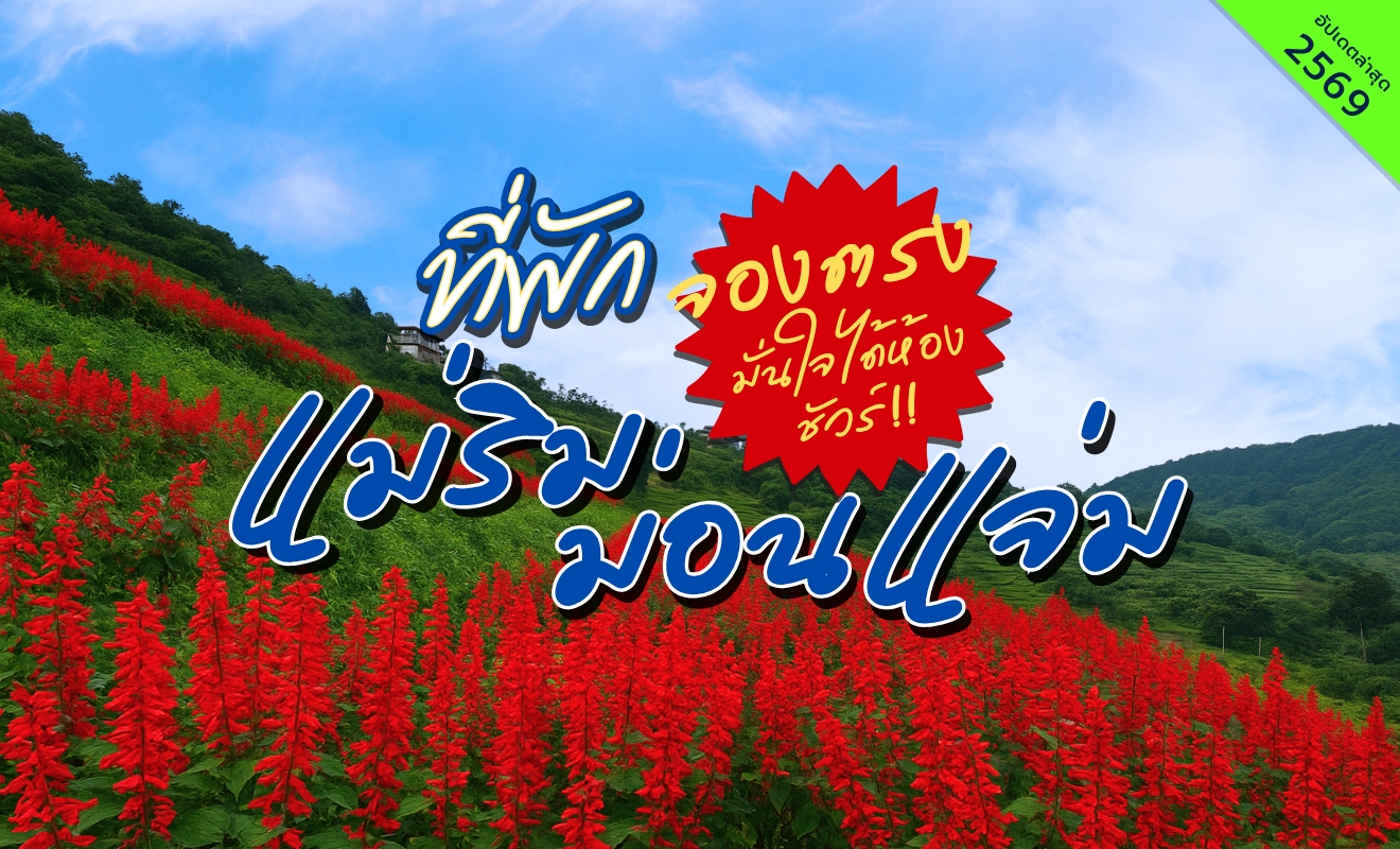 ที่พักแม่ริม ม่อนแจ่ม เชียงใหม่ วิวทุ่งดอกไม้สีแดงและภูเขา เหมาะสำหรับเที่ยวธรรมชาติบนดอย