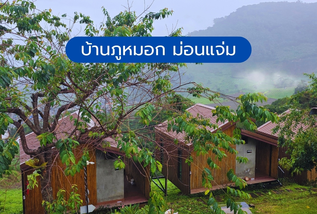 บ้านภูหมอก ม่อนแจ่ม