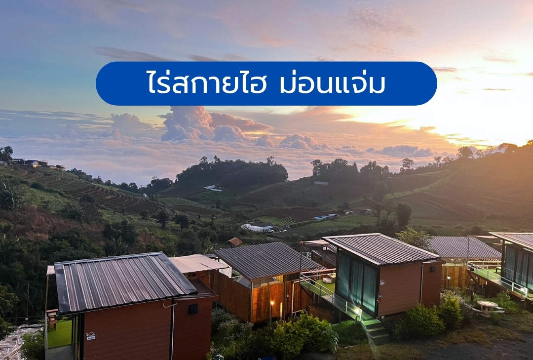ไร่สกายไฮ ม่อนแจ่ม