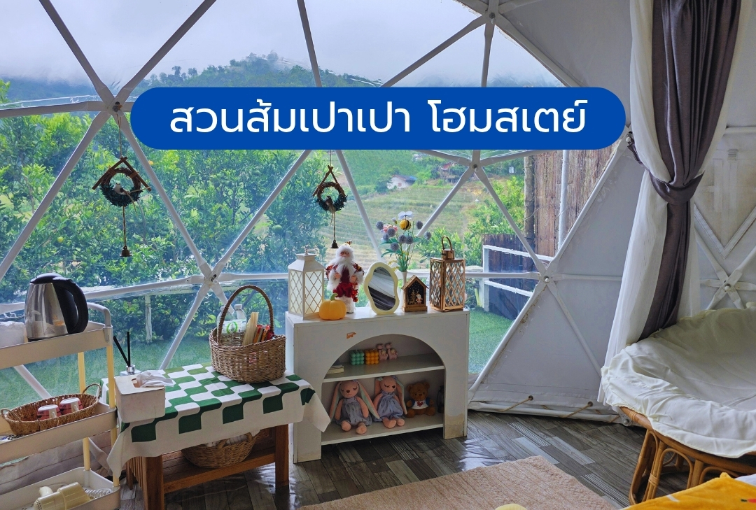 สวนส้มเปาเปา โฮมสเตย์ ม่อนแจ่ม เชียงใหม่