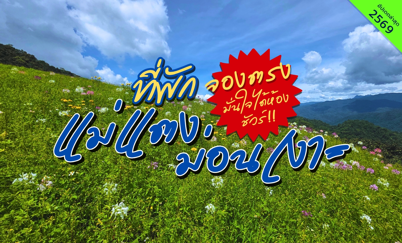 ที่พักแม่แตง ม่อนเงาะ เชียงใหม่ วิวทุ่งดอกไม้และภูเขาธรรมชาติ เหมาะสำหรับเที่ยวภูเขาเชียงใหม่