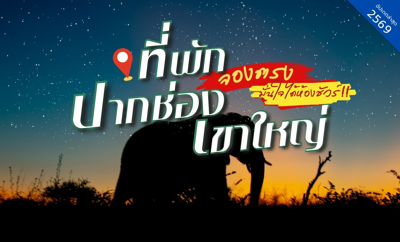 ที่พักปากช่อง เขาใหญ่ วิวธรรมชาติและสัตว์ป่าในอุทยานแห่งชาติเขาใหญ่ เหมาะสำหรับทริปภูเขาใกล้กรุงเทพ