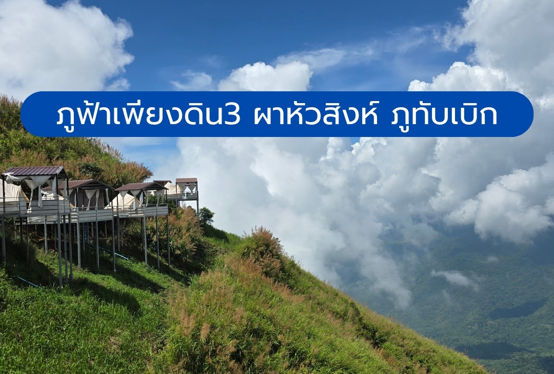 ภูฟ้าเพียงดิน3 ผาหัวสิงห์ ภูทับเบิก