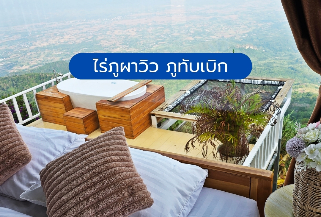 ไร่ภูผาวิว ภูทับเบิก