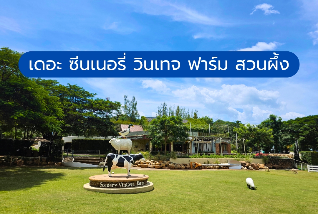 เดอะ ซีนเนอรี่ วินเทจ ฟาร์ม สวนผึ้ง