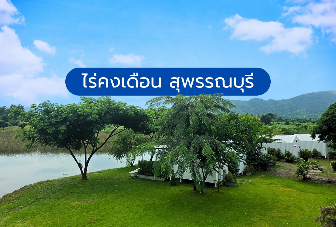 ไร่คงเดือน สุพรรณบุรี