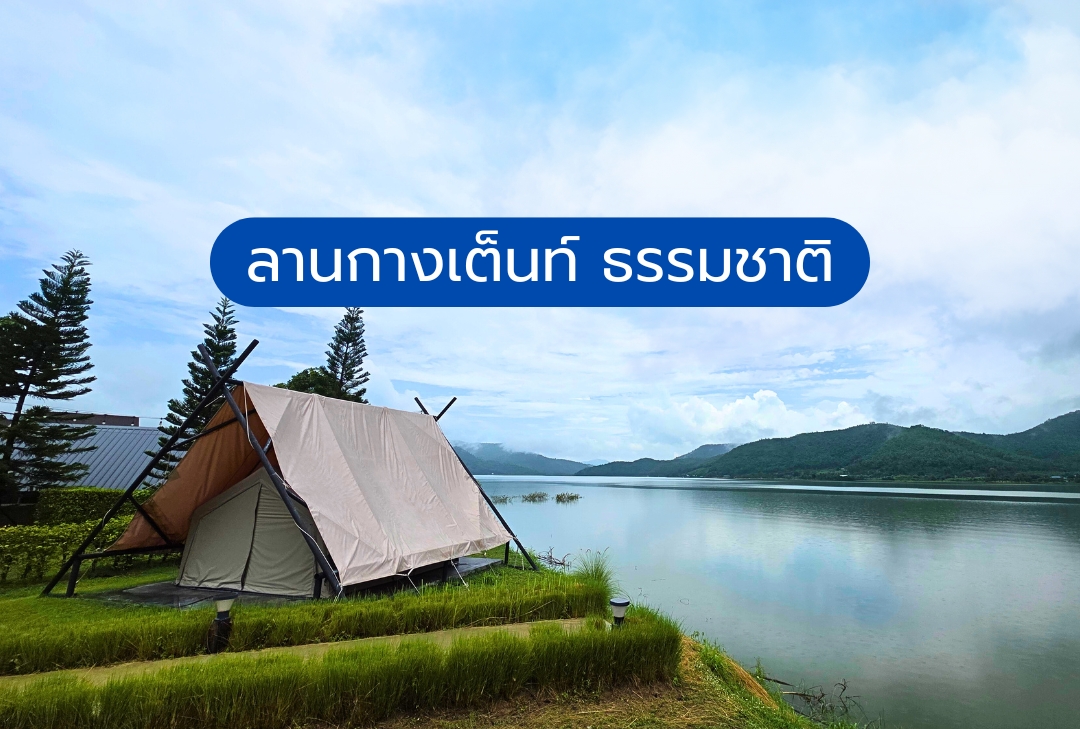 ลานกางเต็นท์ ธรรมชาติ